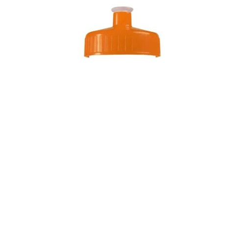 Garyline® Clear Bottle with Push-Pull Lid - 20 oz.