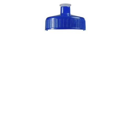 Garyline® Clear Bottle with Push-Pull Lid - 20 oz.