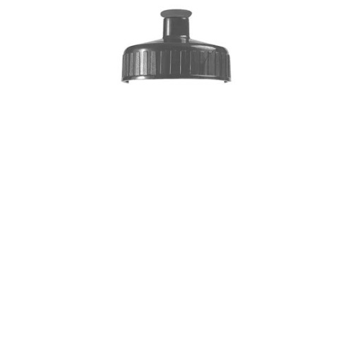 Garyline® Clear Bottle with Push-Pull Lid - 20 oz.
