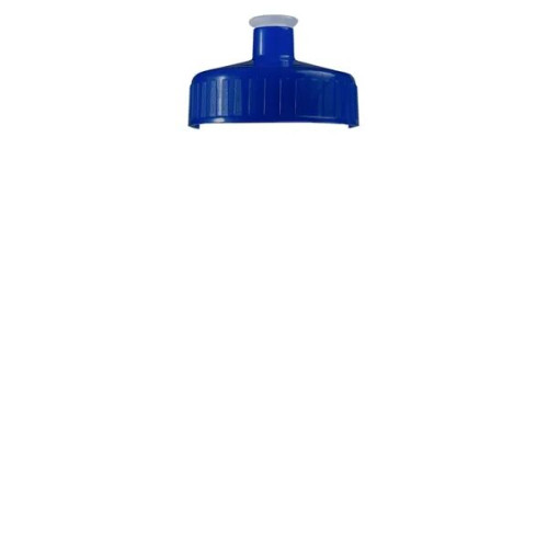 Garyline® Clear Bottle with Push-Pull Lid - 20 oz.