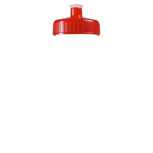 Garyline® Clear Bottle with Push-Pull Lid - 20 oz.