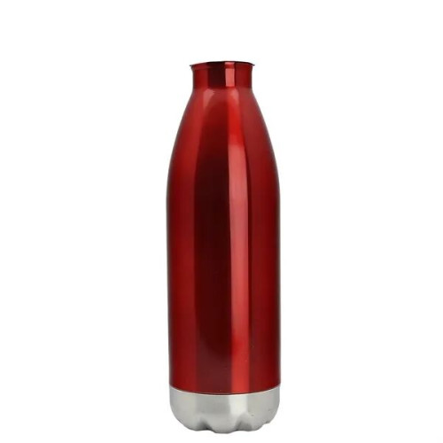 Garyline® Stainless Steel Bottle - 17 oz.