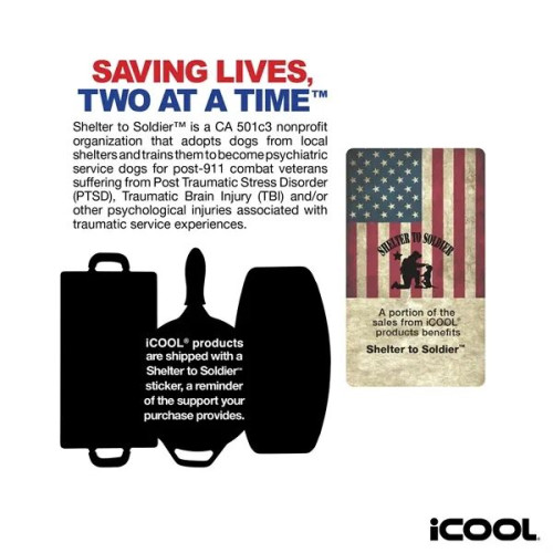 iCOOL® Anchorage 10' Cast Iron Skillet / Frying Pan