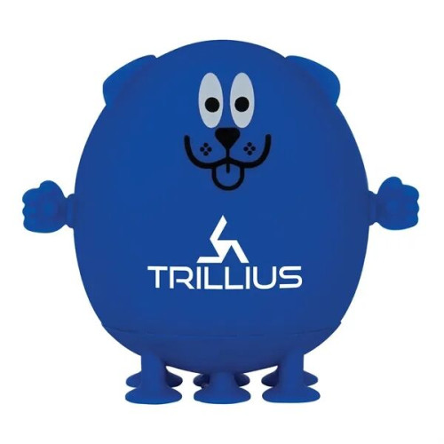 PopPup Push Pop Fidget Toy