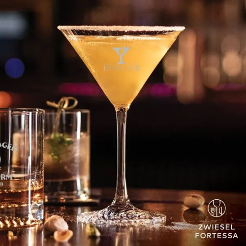 Zwiesel Fortessa Echo Collection - 6 oz. Martini Glass