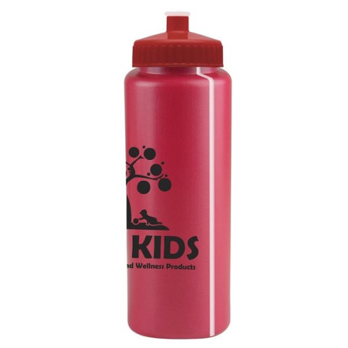 The Athlete - 32 Oz. Sports Bottle W/ Push Pull Lid