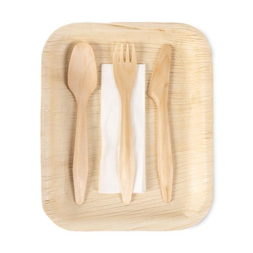 Verterra Plate/Utensil Dinnerware Set