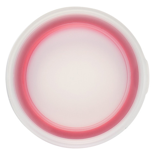 Collapsible Food Bowl