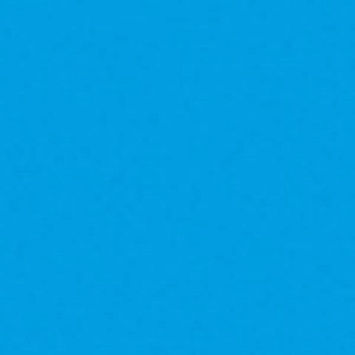 BIC® Round Stic® Pen