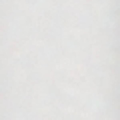 BIC® Round Stic® Pen