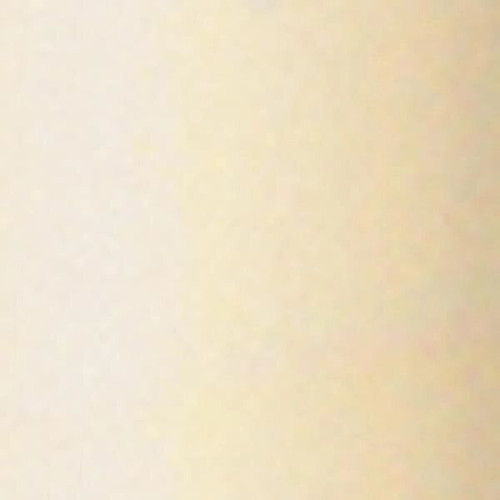 BIC® Round Stic® Pen