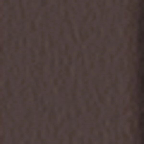 BIC® Round Stic® Pen