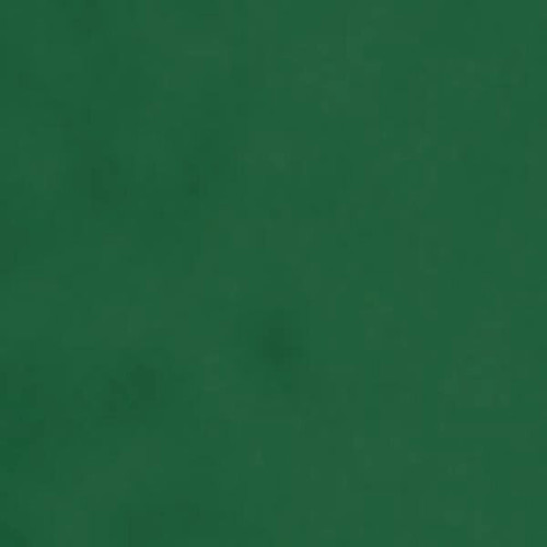 BIC® Round Stic® Pen