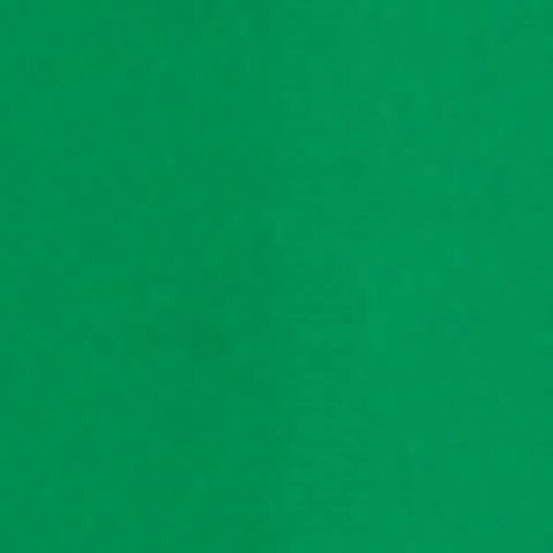 BIC® Round Stic® Pen