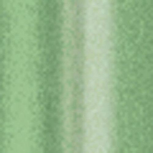 BIC® Round Stic® Pen