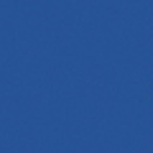 BIC® Round Stic® Pen