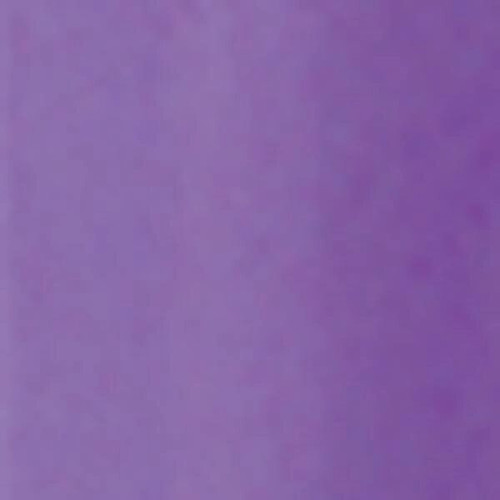 BIC® Round Stic® Pen