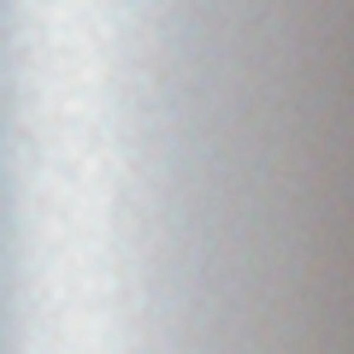 BIC® Round Stic® Pen