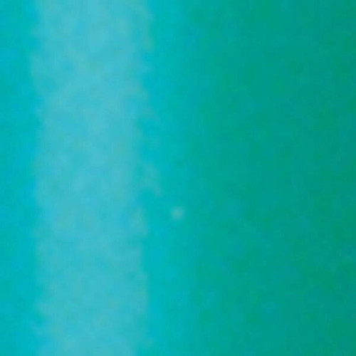 BIC® Round Stic® Pen