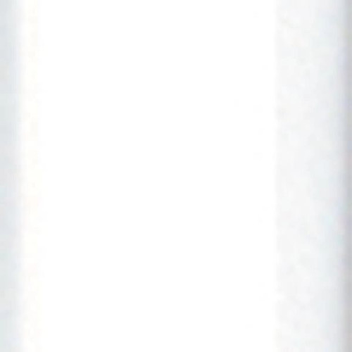 BIC® Round Stic® Pen