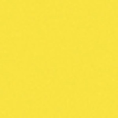 BIC® Round Stic® Pen