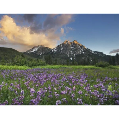 Good Value™ Landscapes of America - Stapled Calendar
