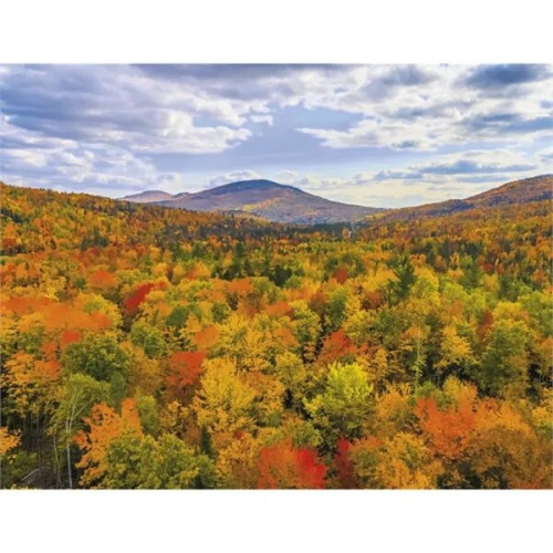 Good Value™ Landscapes of America - Stapled Calendar