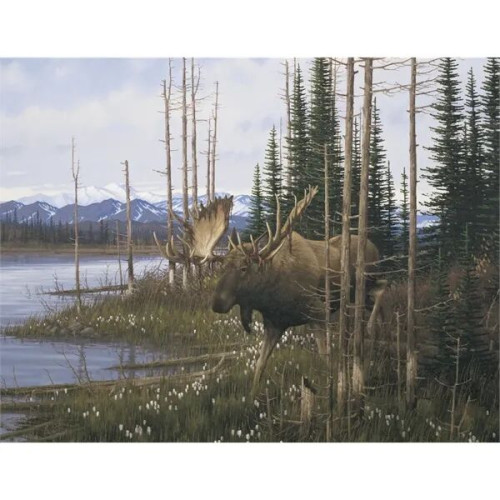 Triumph® Calendars Wildlife Art Calendar