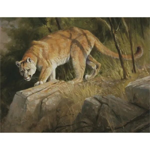 Triumph® Calendars Wildlife Art Calendar