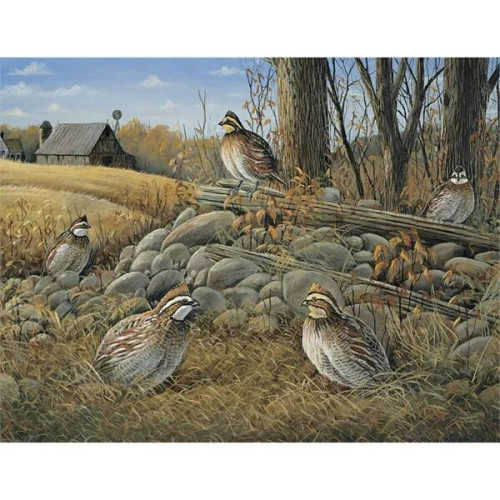 Triumph® Calendars Wildlife Art Calendar