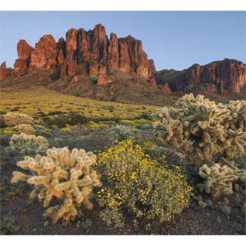 Good Value™ Landscapes of America - Mini Calendar