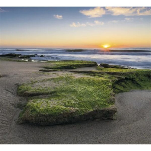 Good Value™ Landscapes of America - Mini Calendar