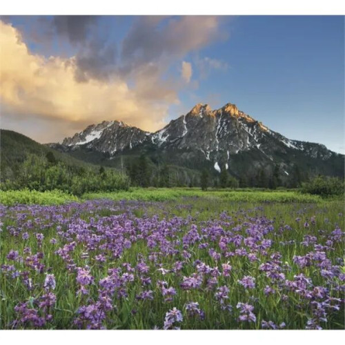 Good Value™ Landscapes of America - Mini Calendar