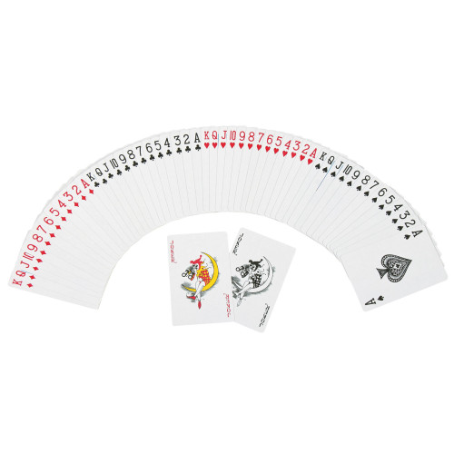 Playing Cards In Case