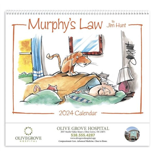 Murphy's Law