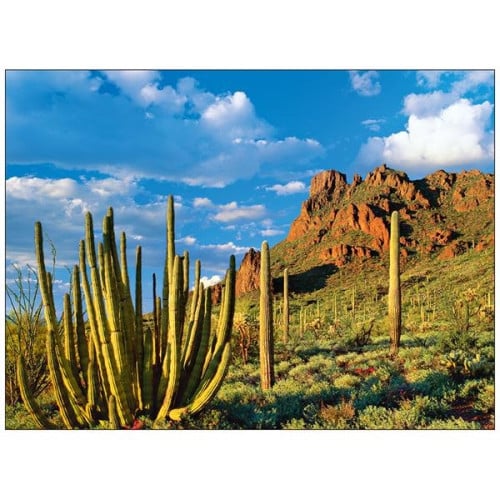 Scenic America® Pocket Calendar