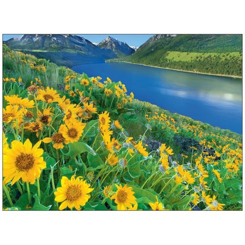 Scenic America® Pocket Calendar