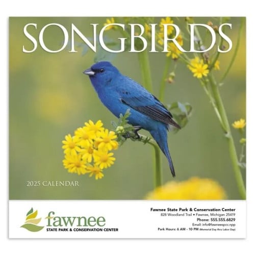 Songbirds Appointment Calendar - Stapled