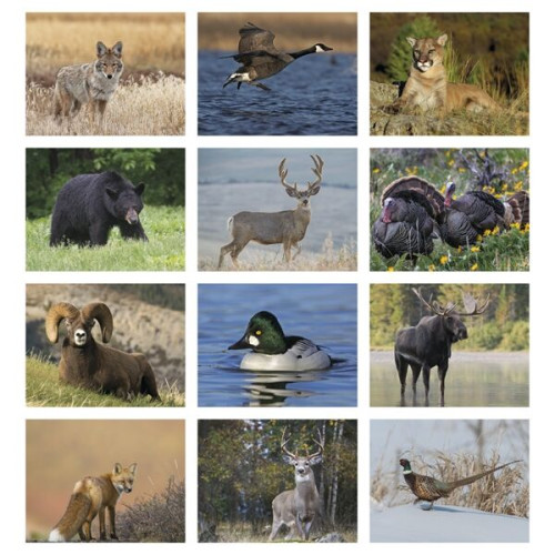 Wildlife Appointment Calendar - Stapled