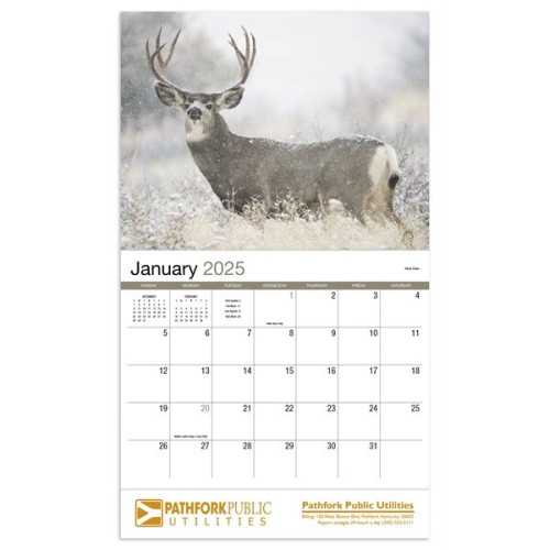 Wildlife Appointment Calendar - Stapled