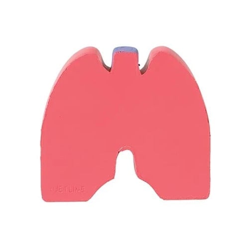 Lungs Shape Stress Ball