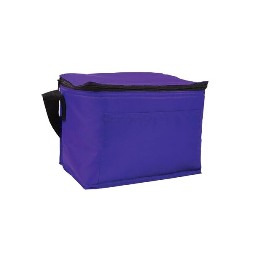 Budget 6-Pack Cooler Bag