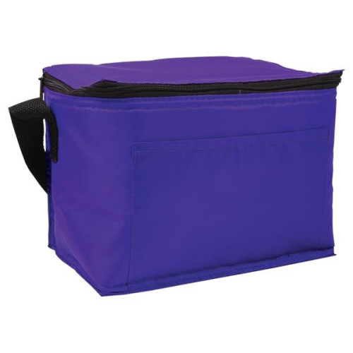 Budget 6-Pack Cooler Bag