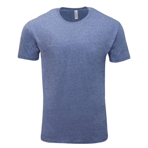 Threadfast Apparel Unisex Triblend Short-Sleeve T-Shirt