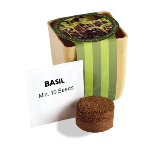 Flower Pot Set With Basil Seeds