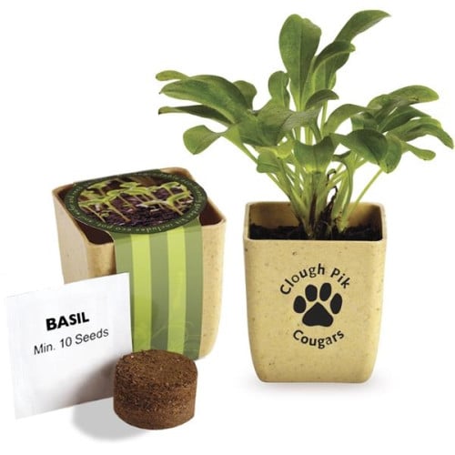 Flower Pot Set With Basil Seeds