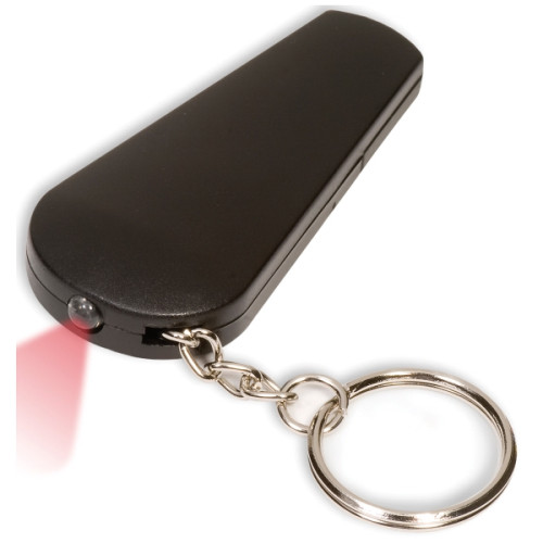 Light 'N Whistle Keychain