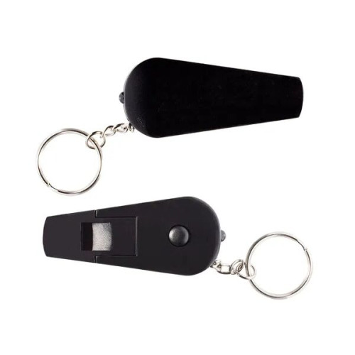 Light 'N Whistle Keychain