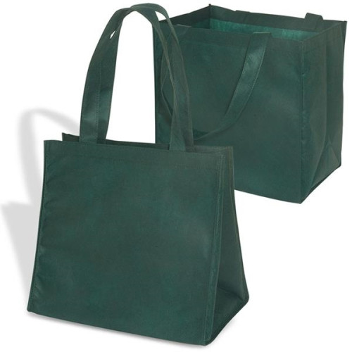 Econo Enviro-Shopper