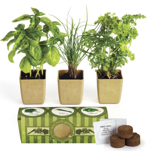 Growpot Eco-Planter Herb 3-Pack